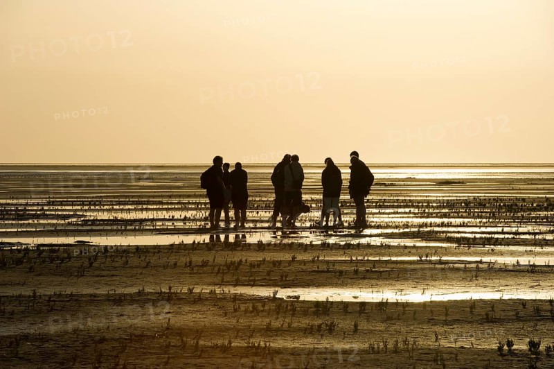 Hiker in the mudflats, sunset, Wyk, Föhr, North Frisia, Schleswig-Holstein, Germany, Europe