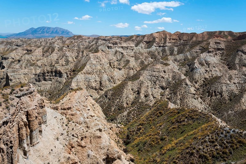 Extensive hilly desert landscape with dry vegetation and rocks under a clear blue sky, Barranco de la Rambla del Pollo, Gorafe desert, Granada, Andalusia, Spain, Europe