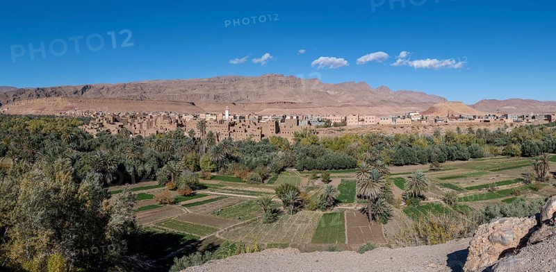 Oasis with traditional mud houses and date palms, on the edge of the Todra Gorge or Gorges du Toudra, near Tinghir, Morocco, Africa