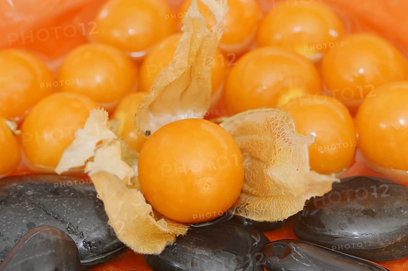 Cape gooseberry or Andean berry (Physalis peruviana), ripe fruit