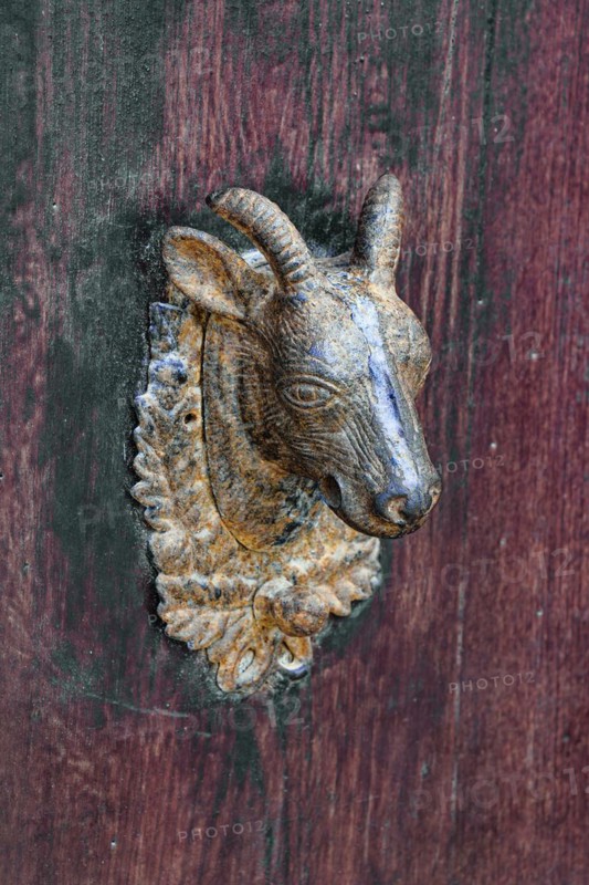 Goat, Artfully designed doorknob, Arrecife, Lanzarote, Canary Islands, Canary Islands, Spain, Europe