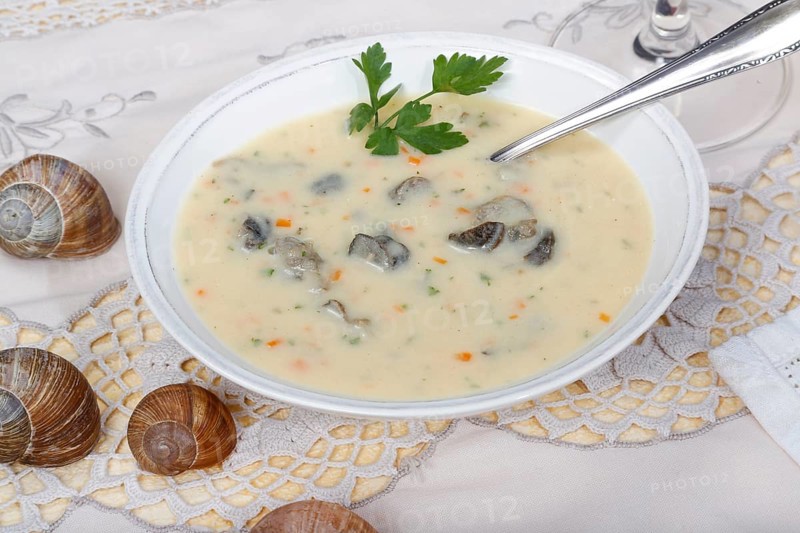 Baden cuisine, snail soup, typical Baden, vineyard snail shell, snail shells, parsley, spoon, soup bowl, traditional cuisine, speciality, food photography, studio, Germany, Europe