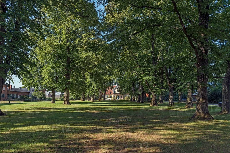 Lindenallee (Tilla), behind an art nouveau villa built around 1900, Rögnitz, Mecklenburg, -Western Pomerania, Germany, Europe