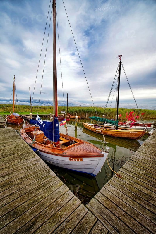 Sailing boats in Althagen harbour on the Saaler Bodden, evening mood, Ahrenshoop, Fischland-Darß-Zingst peninsula, Baltic Sea, Mecklenburg-Western Pomerania, Germany, Europe