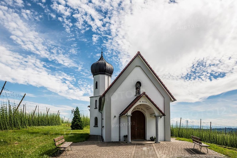 Chapel and hop gardens, hop growing, hop plantation, St George's Chapel, St George's Chapel, Dietmannsweiler, near Tettnang, Upper Swabia, Lake Constance, Baden-Württemberg, Germany, Europe
