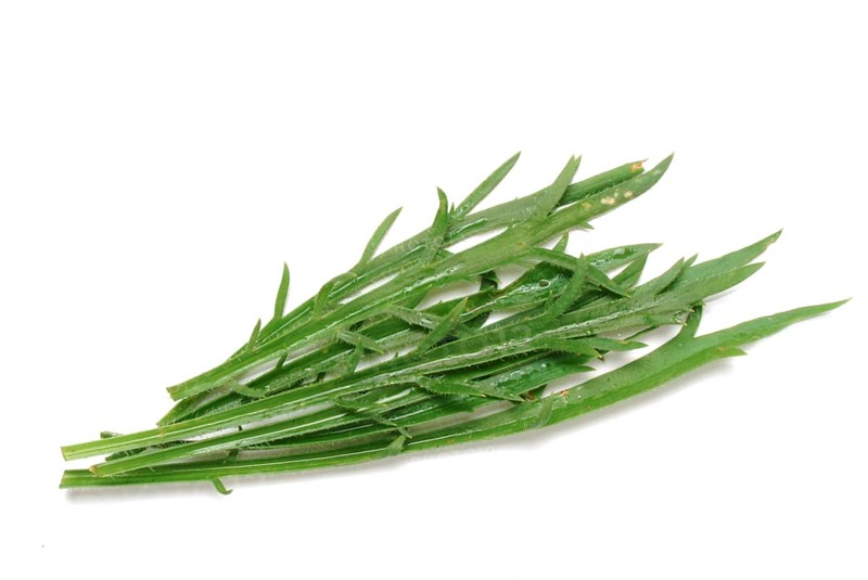 Vegetable, salad plant, crow's foot plantain, Plantago coronopus), also known as stag's horn plantain, slit plantain, slit-leaf plantain, capuchin beard, monk's beard or goat's beard, plant species from the plantain genus