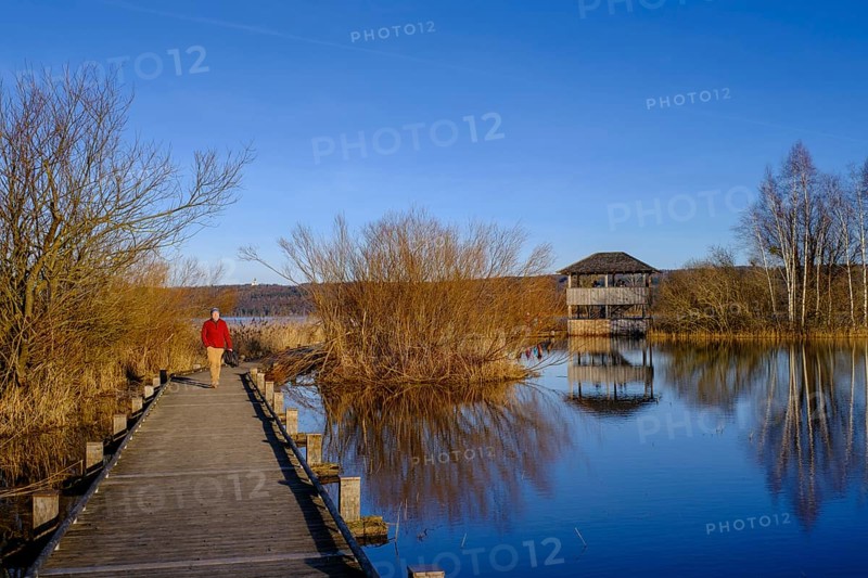 Plank path to the observation tower, high water in Dießen am Lake Ammer, Diessen, Fünfseenland, Upper Bavaria, Bavaria, Germany, Europe