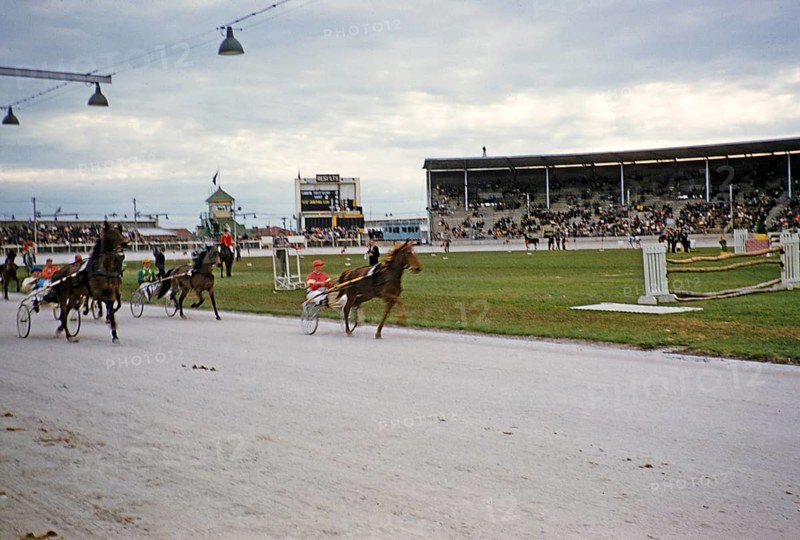 Trotting race in a stadium as part of an equestrian event, Melbourne, Victoria, Australia, 1956, Oceania