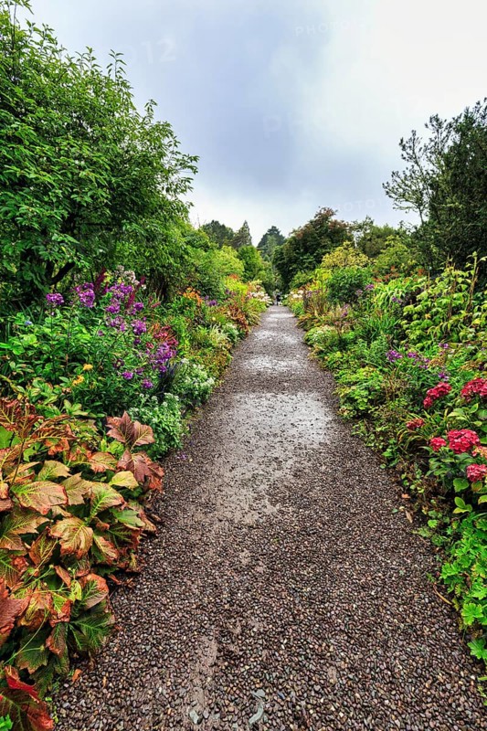 Footpath, Ilnacullin, Garinish Island, gardens, rain clouds, rainy weather, Glengarriff, Bay of Bantry, Ring of Beara coastal road, County Cork, Wild Atlantic Way, Ireland, Europe