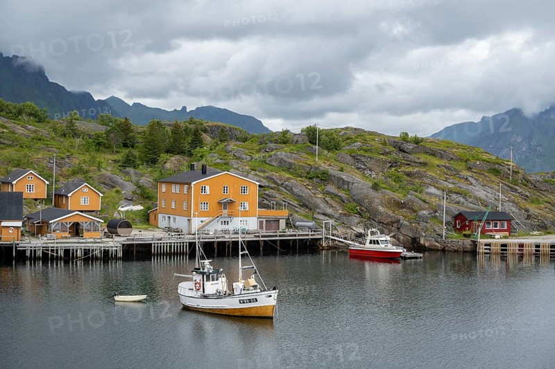 Fishing boats in the harbour of Stamsund, Vestvågøy, Lofoten, Norway, Europe