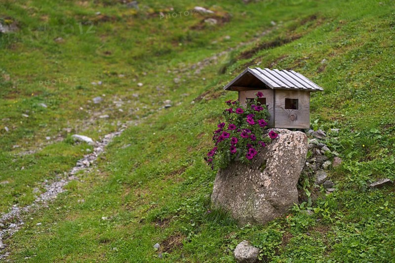 Bird house, Streitweider Alm, Taser Höhenweg, Schenna, Scena, South Tyrol, Autonomous Province of Bolzano, Italy, Europe
