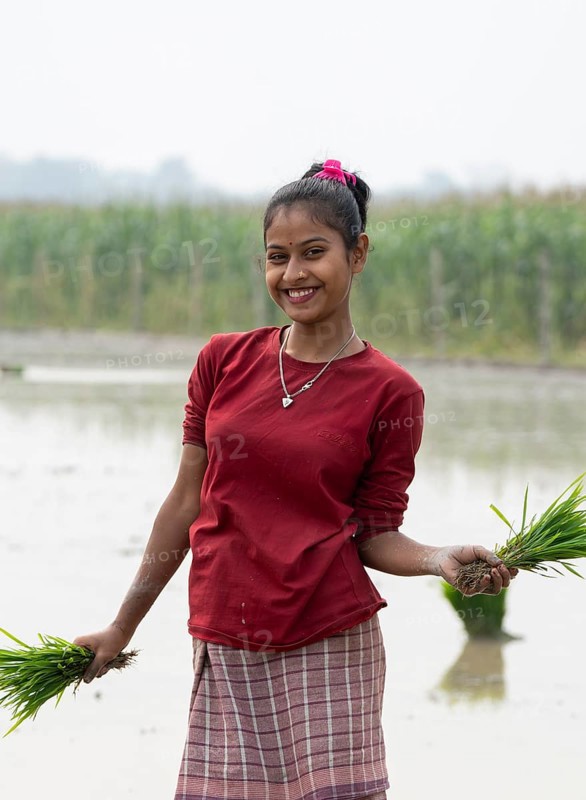 Morigaon, India. 20 February 2024. A women pose for photograph holding rice sapling, as she plant rice saplings in a paddy field on February 20, 2024 in Mayong, India. Rice cultivation contributes to food security in India by ensuring a stable supply of this essential food grain
