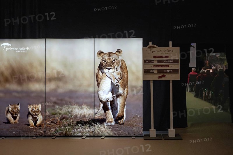 Symbol photo lecture Safari Africa