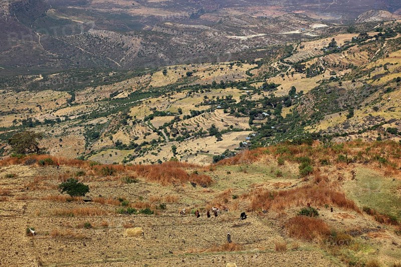 Landscape in the Choke Mountains, view into the valley, Ethiopia, Africa