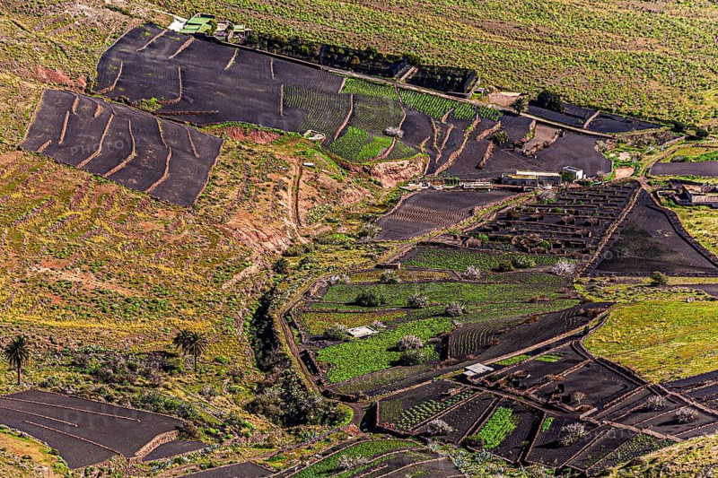 2016, Haria, Lanzarote, Haria, ESP, Spain, Canary Islands, Canary Islands, Atlantic Ocean, Lanzarote, biosphere reserve, volcano, volcanism, volcanic island, island, recording date, Europe