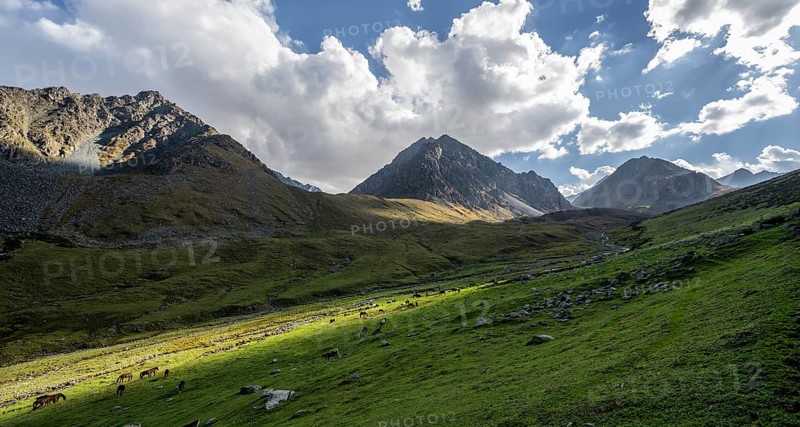 Green high valley with mountains, Keldike Valley on the way to the Ala Kul Pass, Tien Shan Mountains, Kyrgyzstan, Asia