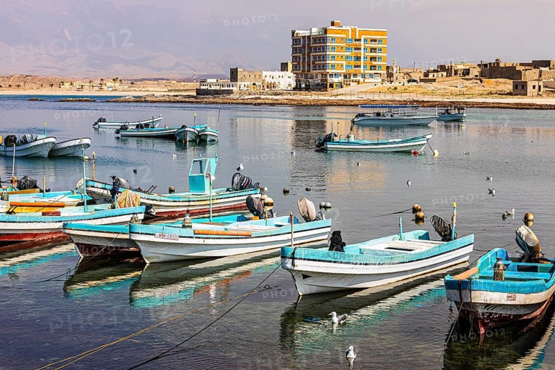 Fishing boats anchored in the harbour of Mirbat, Dhofar Province, Arabian Peninsula, Sultanate of Oman