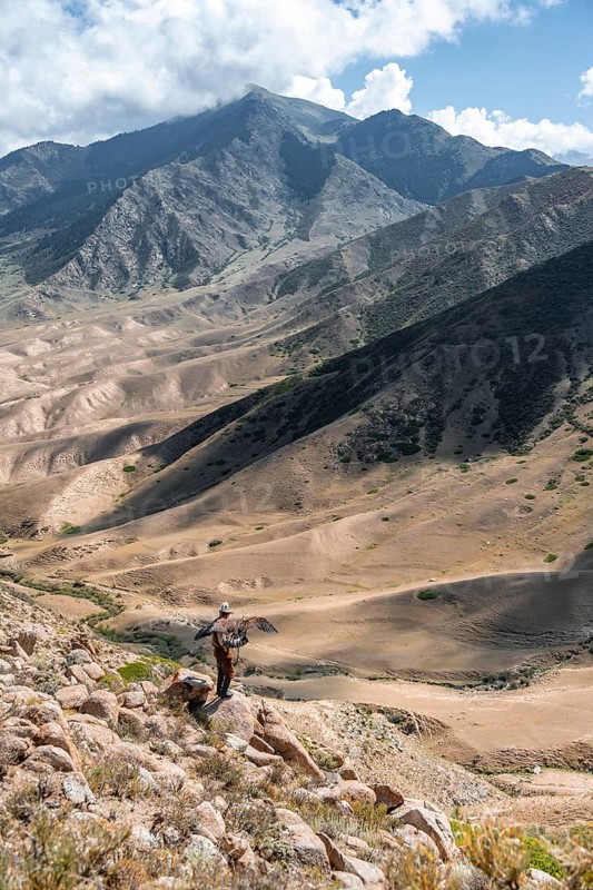 Traditional Kyrgyz eagle hunter hunting in the mountains in a dry landscape, near Kysyl-Suu, Issyk Kul, Kyrgyzstan, Asia