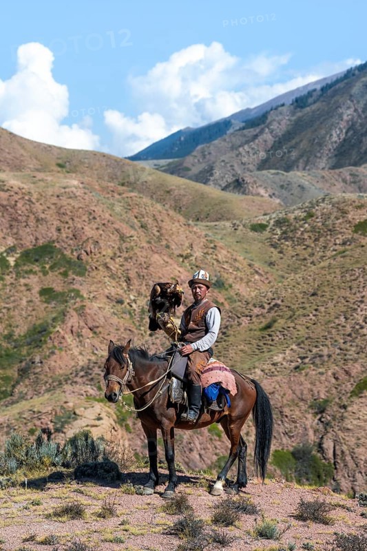 Traditional Kyrgyz eagle hunter with eagle in the mountains, hunting on horseback in front of dry landscape, near Kysyl-Suu, Issyk Kul, Kyrgyzstan, Asia