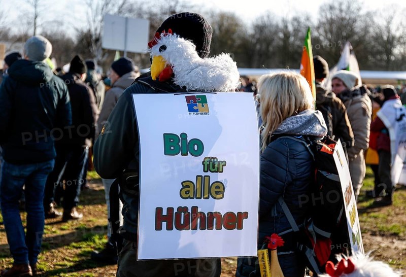 Thousands of demonstrators at the Wir haben es satt! demonstration, thousands of demonstrators demanded a commitment and support from the future German government in favour of more organic farming, away from the agricultural industry. The picture shows a demonstrator with a symbolic chicken, demonstrating in favour of animal welfare and an end to animal suffering, Berlin, Berlin, Germany, Europe