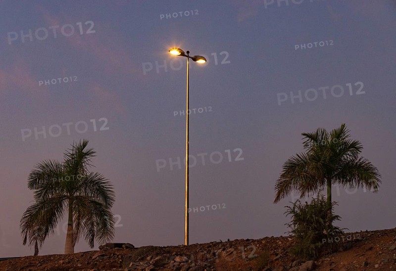 Dawn with street lantern and palm tree, Maspalomas, Gran Canaria, Canary Islands, Spain, Europe