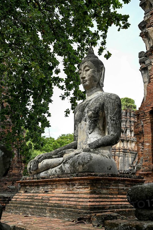 Buddha statue in Wat Mahathat Ayutthaya, Temple of the Great and Holy Relic, Ayutthaya, Ayutthaya Province, Thailand, Asia