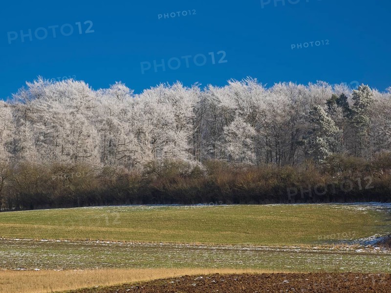Farmland, a hedge and Beech woodland (Fagus sylvatica), covered in hoarfrost beside Breuna, North Hesse, Germany, Europe