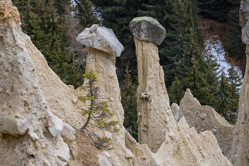 Earth pyramids located in Platten in the municipality of Percha, near Bruneck in South Tyrol, Italy, Europe