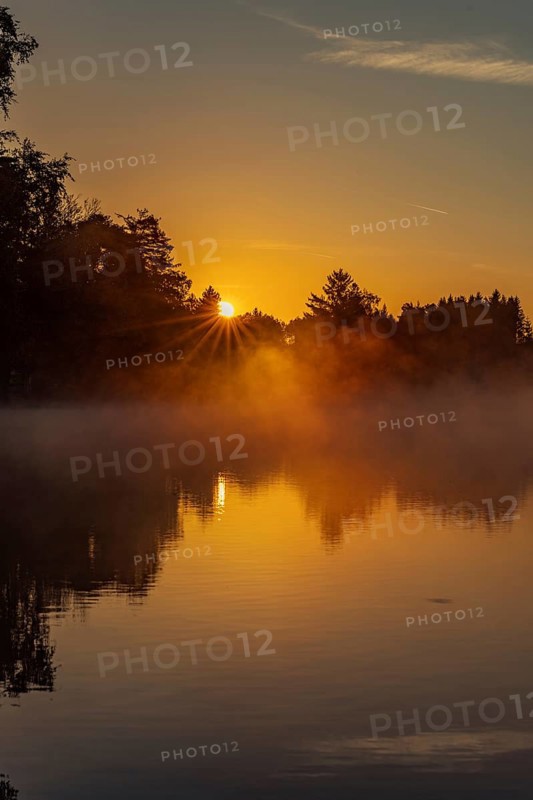 Autumnal morning atmosphere at Schmutter Weiher with fog near Lechbruck, Halblech and Roßhaupten in Allgäu, Bavaria, Germany, Europe