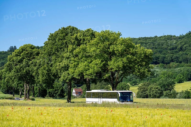 Country road between Hirschberg and Warstein, local bus, public transport, bus transport, Sauerland, North Rhine-Westphalia, Germany, Europe