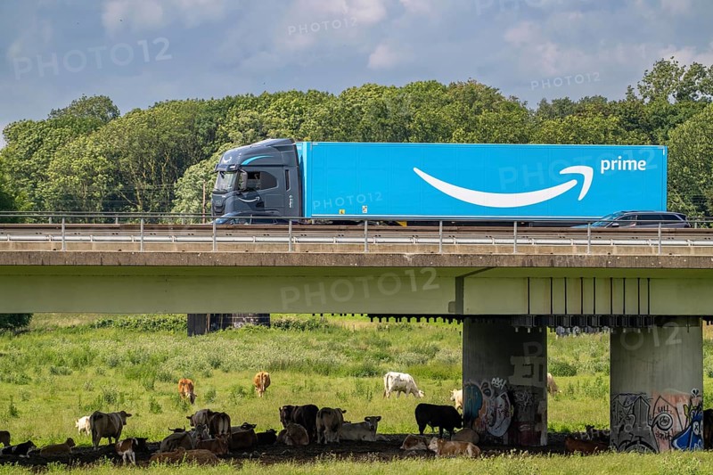 Lorry on the A40 motorway, bridge over the Ruhr and Styrumer Ruhrauen, herd of cattle, dairy cows grazing, Mülheim an der Ruhr, North Rhine-Westphalia, Germany, Europe