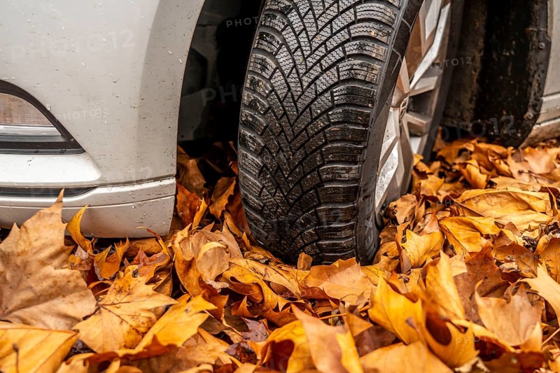Driving on autumn leaves, slippery surfaces, leaves, grip from winter tyres
