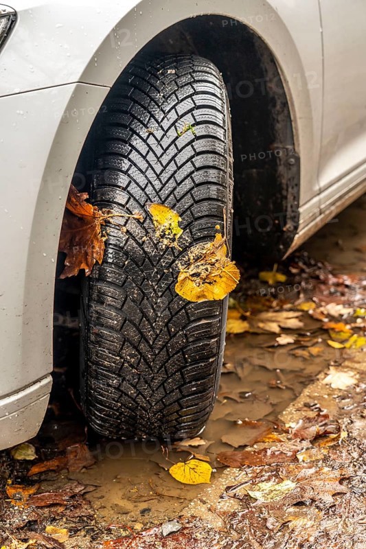Driving on autumn leaves, slippery surfaces, leaves, grip from winter tyres