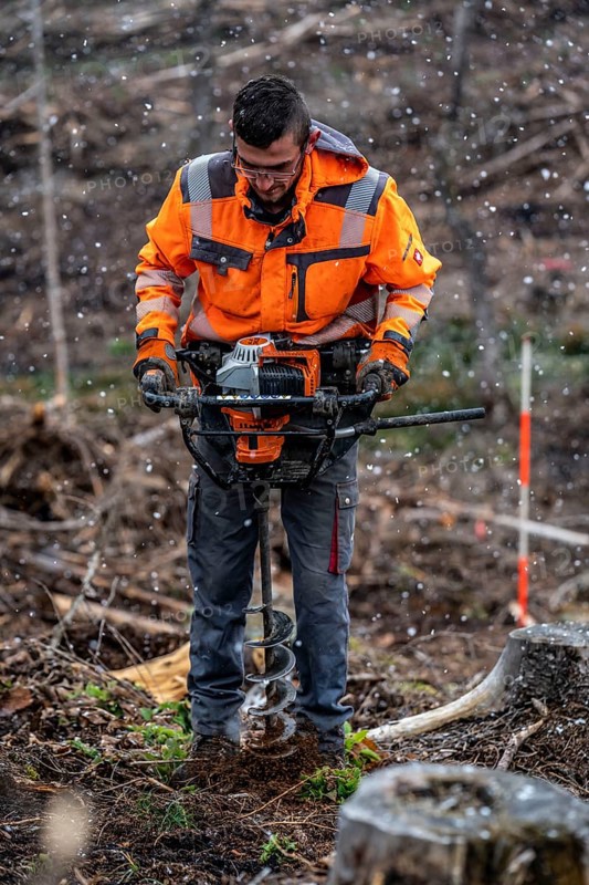 Reforestation in the Arnsberg Forest near Warstein-Sichtigvor, Soest district, forestry workers drill holes in the forest floor to plant young deciduous trees on the site of a spruce forest that had died and been felled due to heavy bark beetle infestation, North Rhine-Westphalia, Germany, Europe