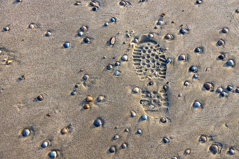 East Frisian North Sea island of Spiekeroog, Wadden Sea National Park, in winter, walk on the beach