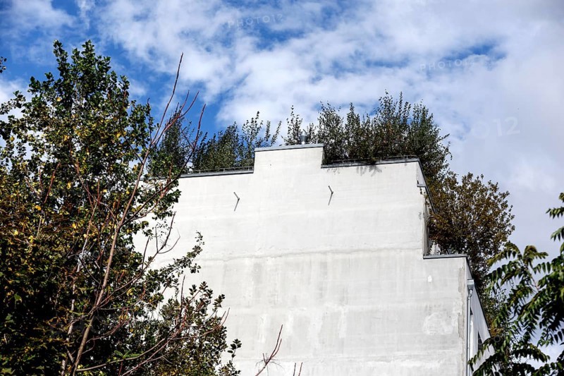 Roof garden of a house planted with trees, Berlin, 14.09.2024. Roof gardens create space for greenery in urban areas, Berlin, Berlin, Germany, Europe