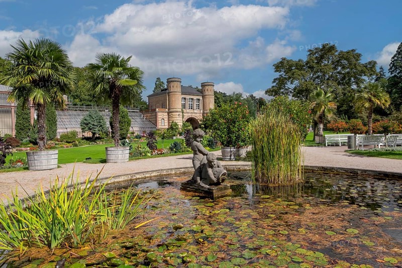 Water lily basin in front of the archway building, Botanical Garden in Karlsruhe Palace Gardens, Karlsruhe, Baden-Wuerttemberg, Germany, Europe