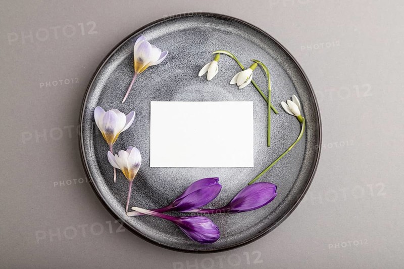 White paper invitation card, mockup with crocus and galanthus flowers on ceramic plate and gray background. Blank, flat lay, top view, still life, copy space, wedding invitation