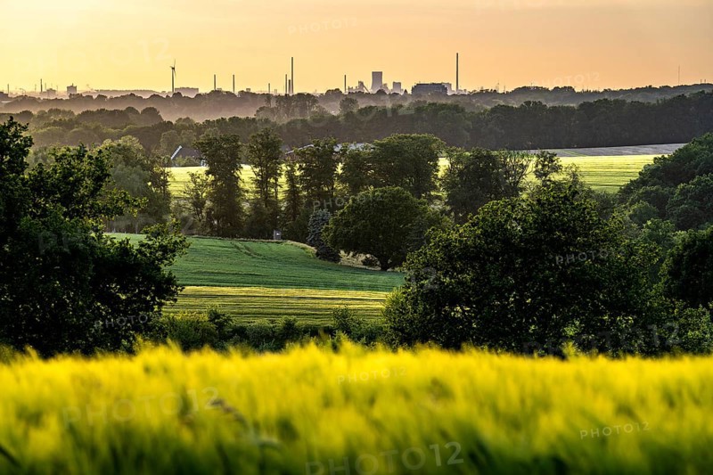 View over the Ruhr valley, to the west, from Mülheim an der Ruhr, in the direction of Duisburg-Bruckhausen, Thyssenkrupp Steel industrial backdrop, grain fields in the evening sun, North Rhine-Westphalia, Germany, Europe