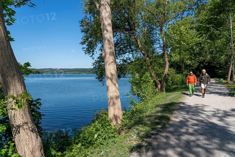Hiking on the Baldeney Steig, a hiking trail around Lake Baldeney in Essen, a Ruhr reservoir, over the Ruhr heights, Essen, North Rhine-Westphalia, Germany, Europe
