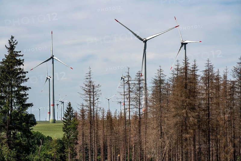 Cleared forest in the Eggegebirge, near Lichtenau, Paderborn district, site of a spruce forest that had died due to heavy bark beetle infestation and was felled, wind farm near Lichtenau on the horizon, North Rhine-Westphalia, Germany, Europe