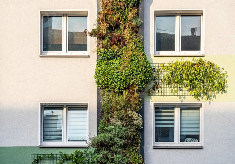 Facade greening on apartment blocks, on Gladbecker Straße, B224, to filter nitrogen oxides and fine dust particles from the air, climbing vines, flowering shrubs, grasses, ferns and ivy grow in the vertical gardens, Essen, North Rhine-Westphalia, Germany, Europe