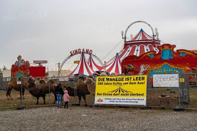 Circus Paul bush, shut down during the second corona lockdown, in Oberhausen, with posters pointing out the difficult situation of circus businesses during the pandemic, Oberhausen North Rhine-Westphalia, Germany, Europe