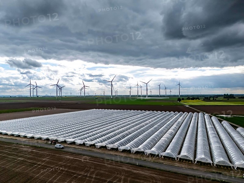Agriculture, large areas with foil tunnel, for the cultivation of strawberries, freshly cultivated fields, wind farm, south of Lövenich, belongs to Erkelenz, in the district of Heinsberg