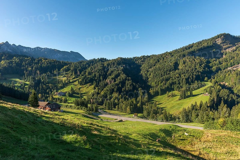 Urnäsch, Alpine pasture, Forest, Canton Appenzell, Ausserrhoden, Appenzell Alps, Switzerland, Europe