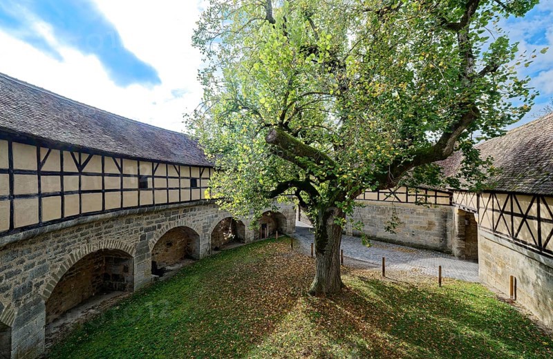 Tree in the inner courtyard of the Spitalbastei at the Spitaltor gate in the old town centre of Rothenburg ob der Tauber. Rothenburg, Bavaria, Germany, Europe