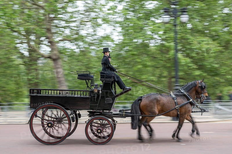 Horse-drawn carriage, Trooping the colour, military parade in June in honour of the British monarch's birthday, The Mall, London, England, Great Britain