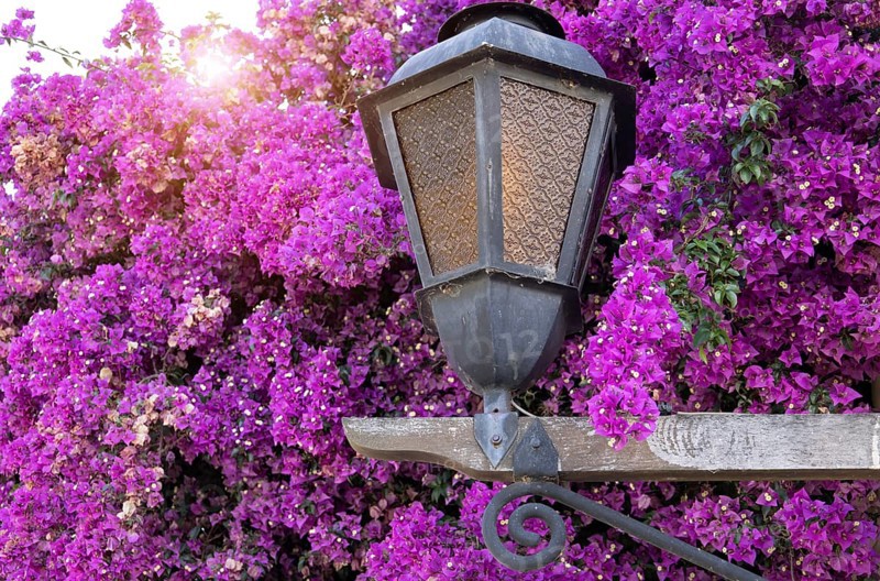 Uruguay, colonial streets of Colonia Del Sacramento in historic center of Barrio Historico, South America