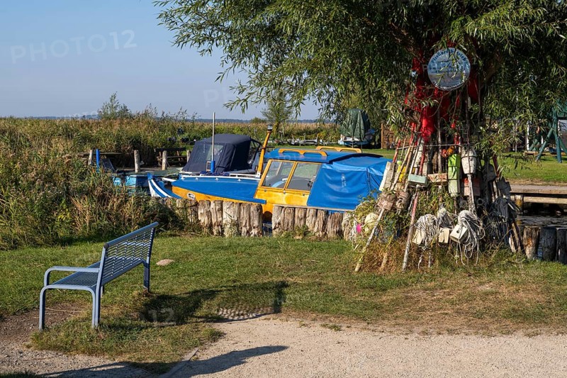 Fishing harbour on the Achterwasser, Zempin, Usedom Island, Baltic Sea, Mecklenburg-Western Pomerania, Germany, Europe