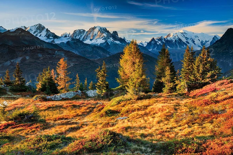 View of the Aiguille Verte and Mont Blanc in the first morning light in the Savoy, France, Europe